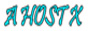A Host X