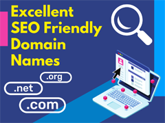 Seo Reports